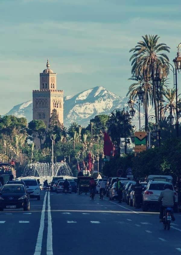 Authentic Moroccan Charm Apartment In Marrakech Terrace Marrakesch Exterior foto